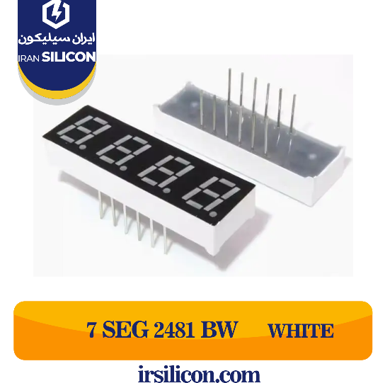 7 SEGMENT 2481BW